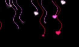 桃心视频,浪漫瞬间，甜蜜回忆